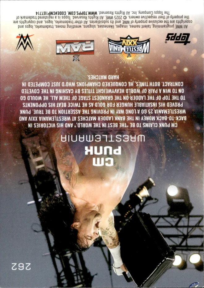 CM Punk card back