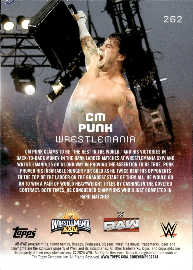 CM Punk card back