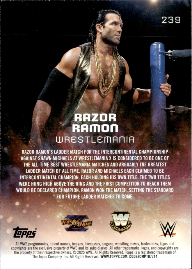 Razor Ramon card back