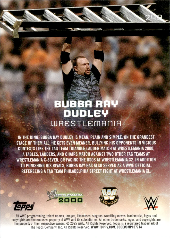 Bubba Ray Dudley card back