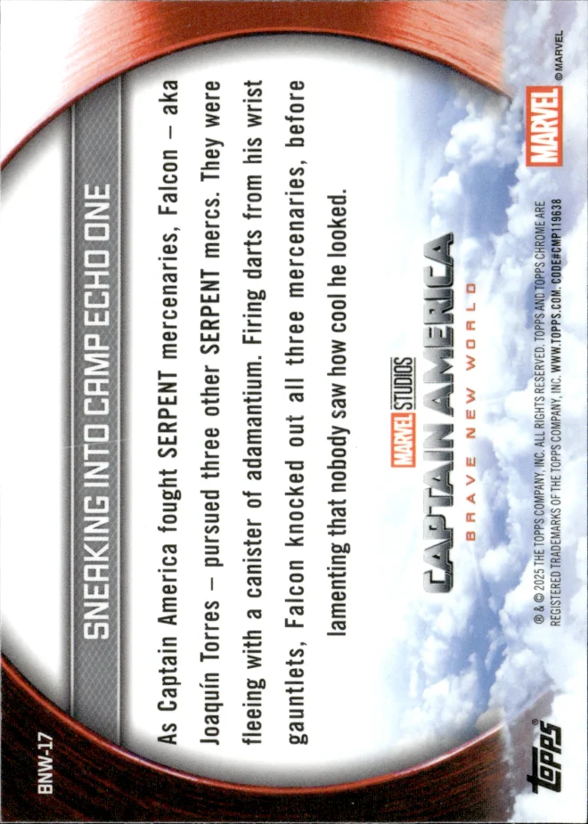 Falcon card back